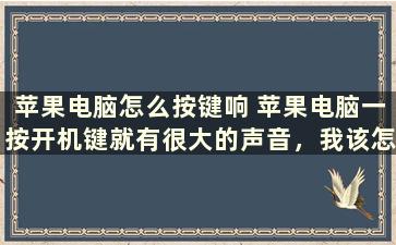 苹果电脑怎么按键响 苹果电脑一按开机键就有很大的声音，我该怎么弄呀